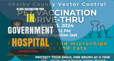 Free Dog Vaccinations: Government Hospitals and Your Pet