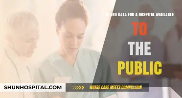 Is Hospital DRG Data Publicly Accessible? Exploring Availability and Transparency