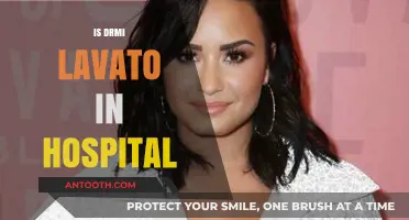 Is Demi Lovato in Hospital? Latest Updates and Facts Revealed