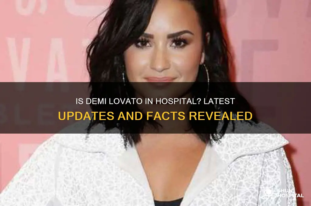 is drmi lavato in hospital