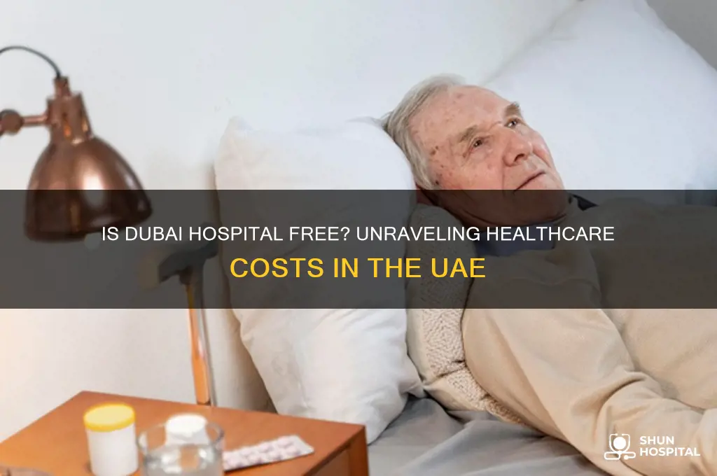 is dubai hospital free