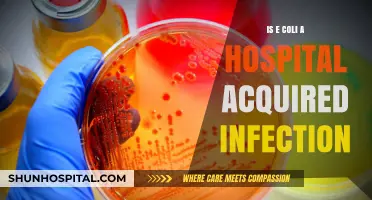 E. coli Infections: Hospital-Acquired or Community-Based?