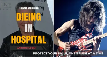 Van Halen's Health: Is He Recovering?