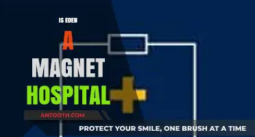 Is Eden a Magnet Hospital? Exploring Its Nursing Excellence Status