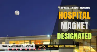 Magnet Recognition: Edward Elmhurst Memorial Hospital's Achievement