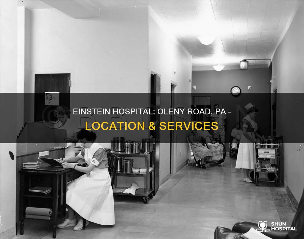 is einstein hospital on oleny road pa