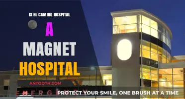 El Camino Hospital: Magnet Status and Its Benefits