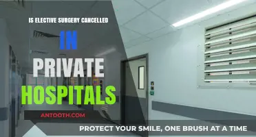Elective Surgeries: Cancelled or Continued in Private Hospitals?