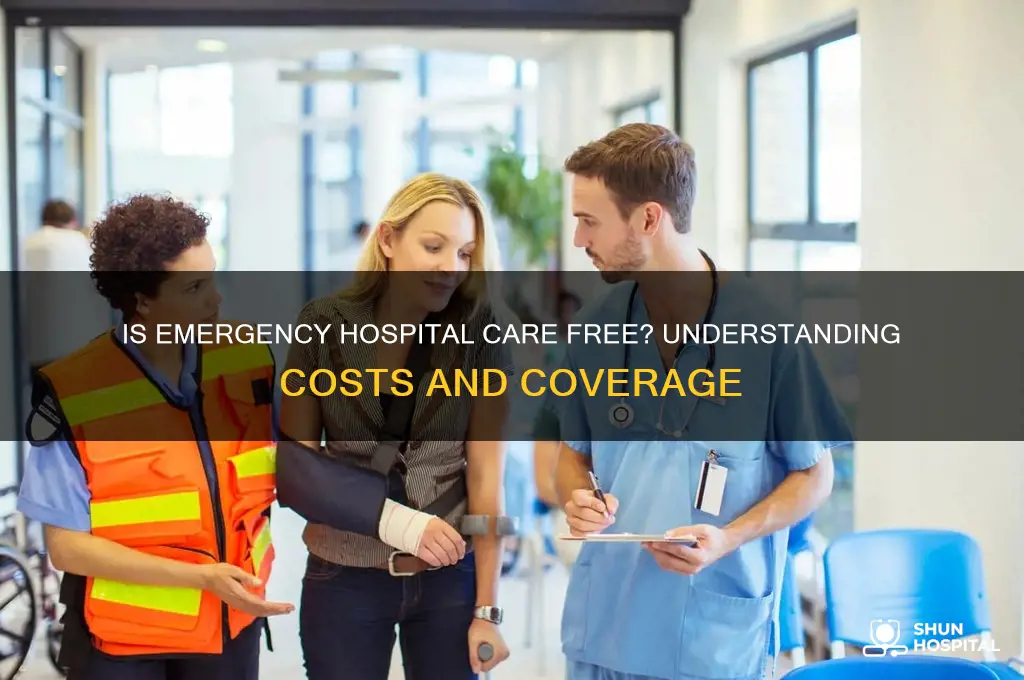 is emergency hospital free