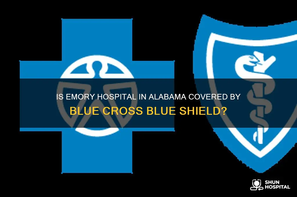 is emory hospital in alabama blue cross blue shield network