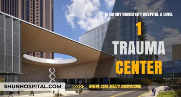 Is Emory University Hospital a Level 1 Trauma Center?