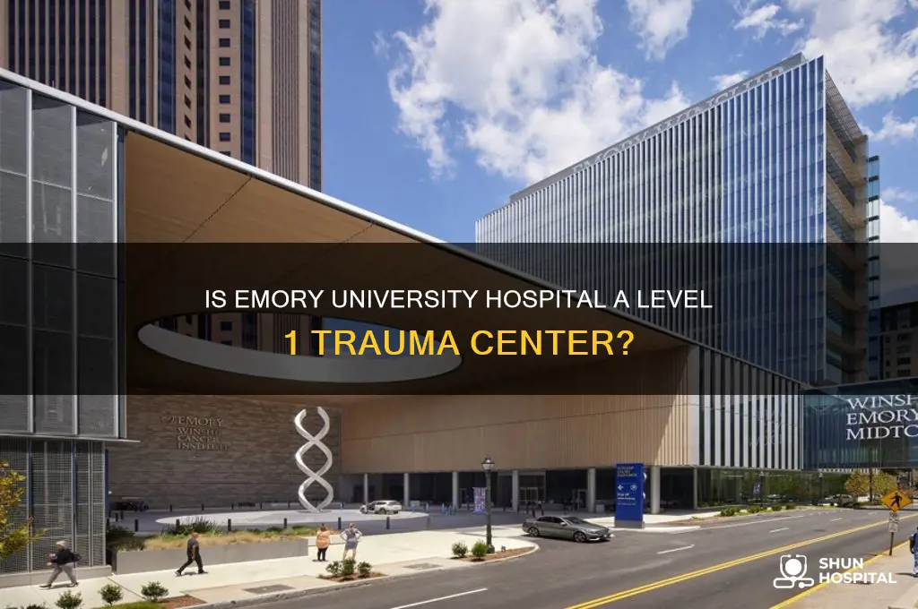 is emory university hospital a level 1 trauma center