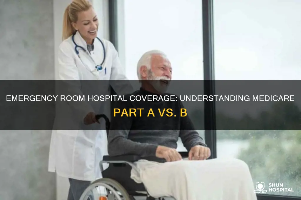 is eremgency room at hospital considered poart a or b