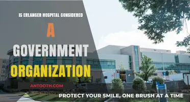 Erlanger Hospital: Government-Owned or Privately Run?