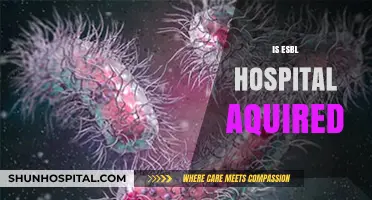 Understanding ESBL Infections: Are They Hospital-Acquired or Community-Spread?