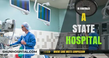 Is Eskenazi a State Hospital? Understanding Its Role and Funding