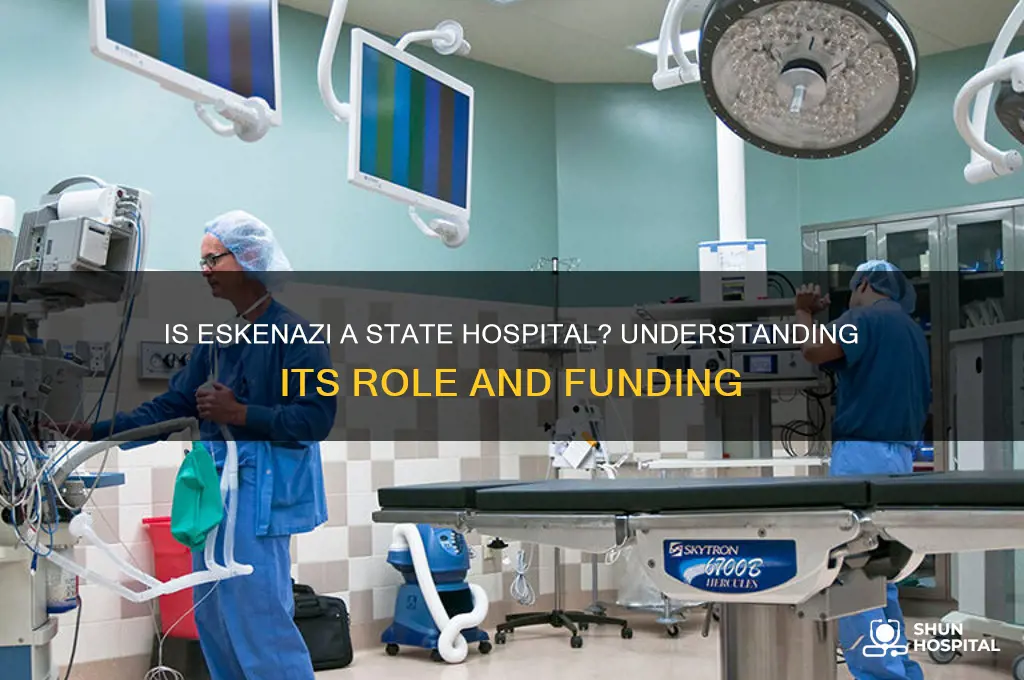 is eskenazi a state hospital