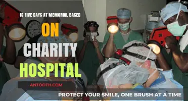 Five Days at Memorial: Fact vs. Fiction of Charity Hospital