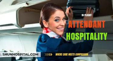 Exploring the Role of Flight Attendants: Hospitality in the Skies