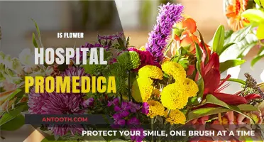 Is Flower Hospital Part of Promedica? Exploring the Affiliation