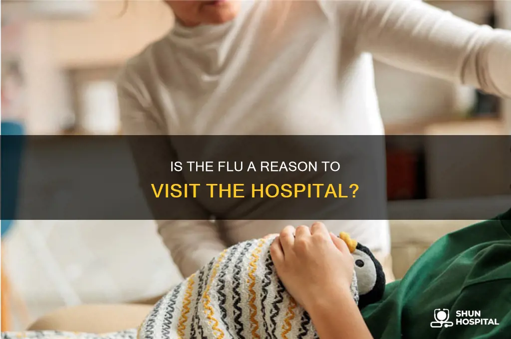 is flu hospital worthy