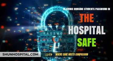 Hospital Passwords for Nursing Students: A Security Risk or Safe Practice?