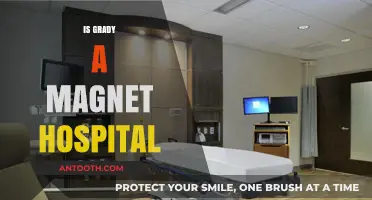 Is Grady a Magnet Hospital? Exploring Its Nursing Excellence Status