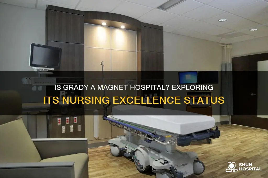 is grady a magnet hospital