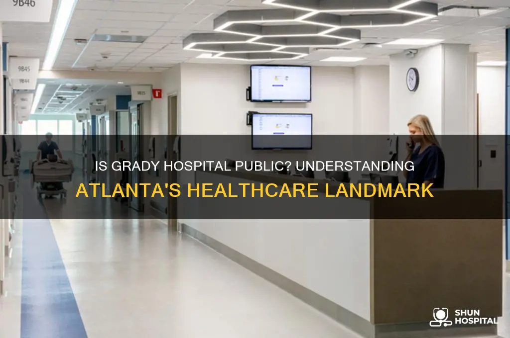 is grady a public hospital