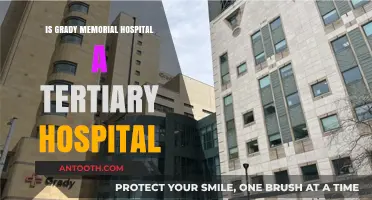 Grady Memorial Hospital: Tertiary Care Services and Specialties