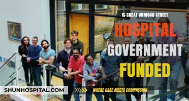 Great Ormond Street Hospital: Government Funding Explained