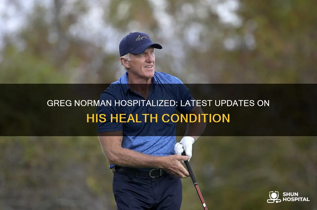 is greg norman in hospital