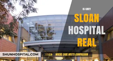 Is Grey Sloan Memorial Hospital Real? Uncovering the Truth Behind Grey's Anatomy
