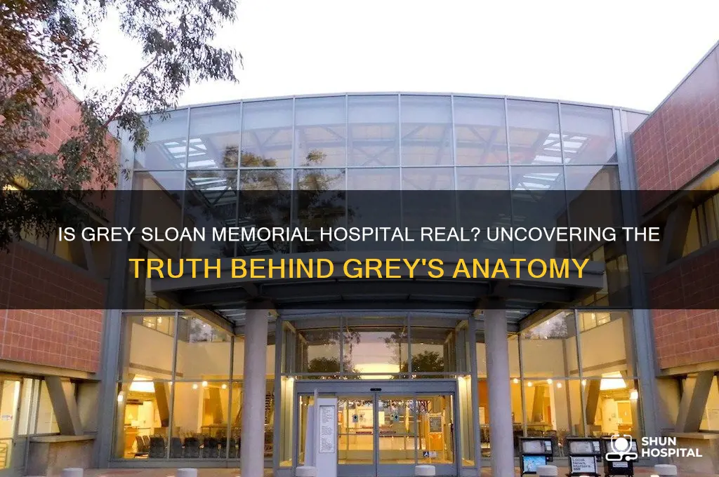is grey sloan hospital real
