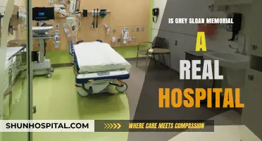 Grey Sloan Memorial: Fact or Fiction?