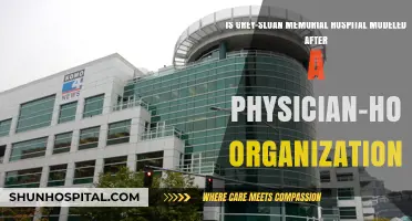 Is Grey Sloan Memorial Hospital a Physician-Hospital Organization Model?