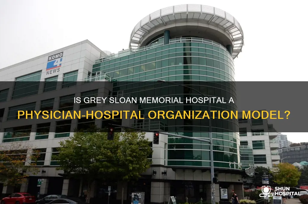 is grey-sloan memorial hospital modeled after a physician-hospital organization