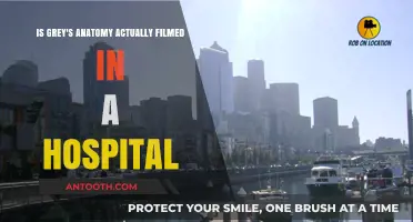 Is Grey's Anatomy Filmed in a Real Hospital? The Truth Revealed