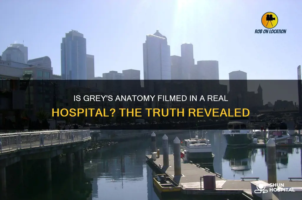 is grey