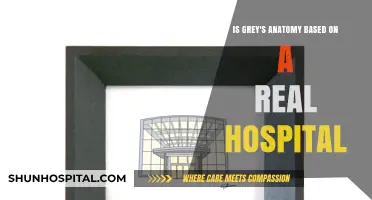 Is Grey's Anatomy Based on a Real Hospital?