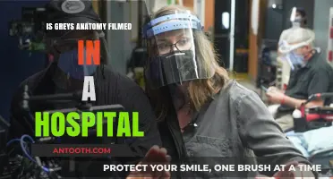 Where is Grey's Anatomy Filmed? Hospital Locations Revealed