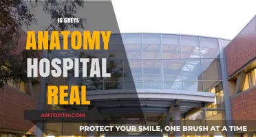 Is Grey Sloan Memorial Hospital Real? Uncovering Grey's Anatomy's Medical Truths