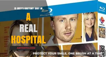 Is Grey's Anatomy Filmed in a Real Hospital? Unveiling the Truth