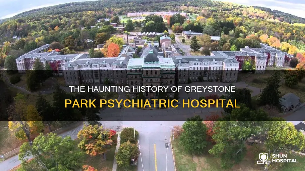is greystone park psychiatric hospital still open