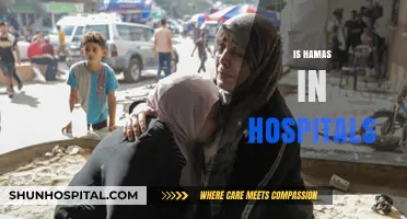 Hamas in Hospitals: Unraveling the Complex Allegations and Realities