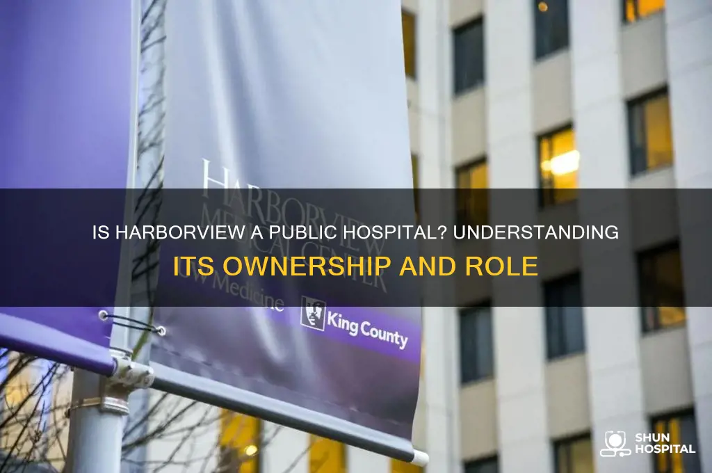 is harborview a public hospital