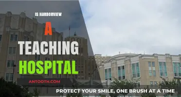 Is Harborview a Teaching Hospital? Unveiling Its Educational Role