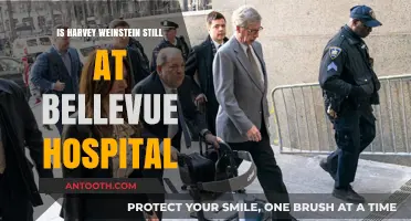 Harvey Weinstein's Hospital Stay: What's the Latest?
