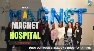 Is HCA a Magnet Hospital? Exploring Recognition and Nursing Excellence