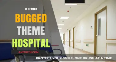 Heating Issues in Theme Hospital: A Bug or Design Flaw?